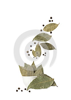 Bay leaf with allspice isolated on white background. Falling spices. Flying seasoning