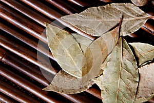 Bay leaf on bamboo.