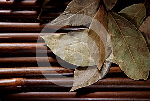 Bay leaf on bamboo