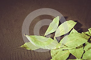 Bay leaf on a dark stone surface/bay leaf on a dark stone background. Top view