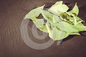 Bay leaf on a dark stone surface/bay leaf on a dark stone surface. Copy space