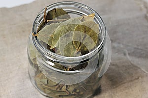 Bay leaf