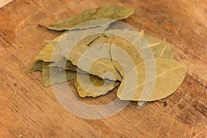 Bay leaf herb