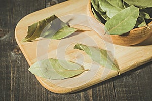 bay leaf in rural style on a wooden plate/spices of bay leaf in rural style