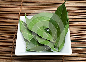 Bay leaf spice