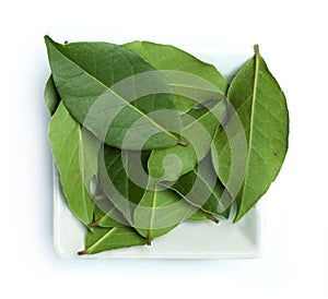Bay leaf spice