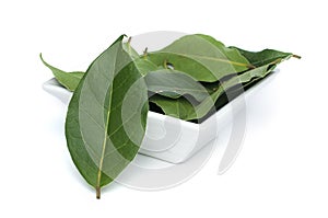 Bay leaf spice