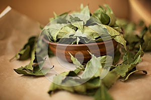 Bay leaf in a wooden Cup