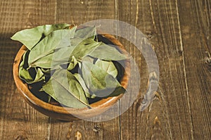 bay leaf in a wooden plate/ bay leaf in a wooden plate on a wooden background. Copy space