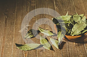 bay leaf in a wooden plate/spices of bay leaf in rural style on a wooden background. Copy space