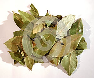 Bay leafs 2