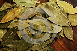 Bay Leaves