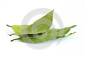 Bay leaves photo