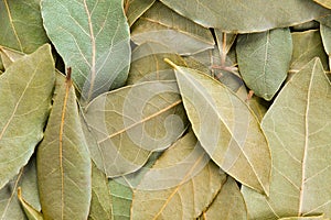 Bay Leaves background.
