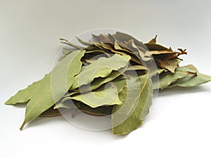 Bay leaves close-up #2