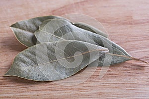 Bay Leaves