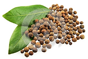 Bay leaves and fragrant pepper photo