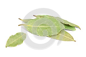 Bay Leaves isolated on white background.