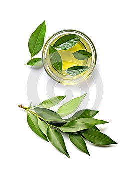 Bay Leaves Tea, Laurel Leaf Drink, Natural Spicy Bayleaf Infusion, Fragrant Beverage, Aromatic Spice