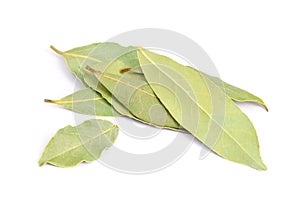 Bay Leaves on white background.