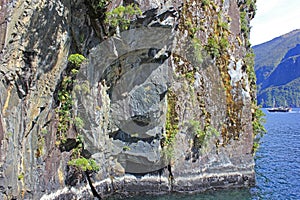 Bay in milford sound, new zealand