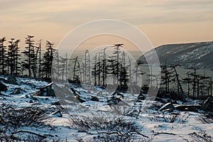 The Bay of Nagaev