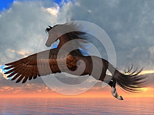 Bay Pegasus Horse