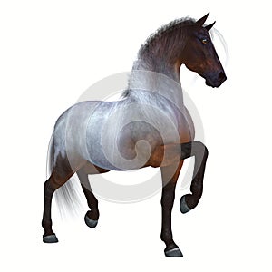 Bay Roan Horse