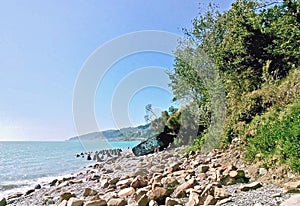 Bay with rocky beach and wild vegetation