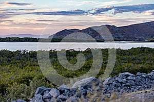 Bay between shrubland and juniper trees with beach and Mexican mountainous landscape