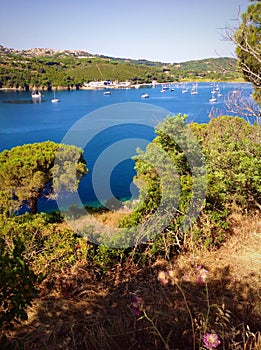 Bay view in Porto Azzurro, Italy photo