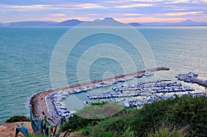 Bay for yachts and boats near Sidi Bou Said