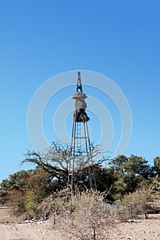 Baya birds colony on an old wind wheel pole