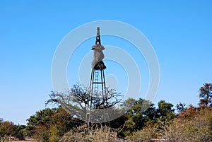 Baya birds colony on an old wind wheel pole photo