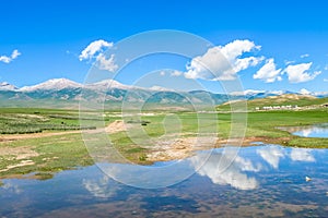 Bayanbulak Grasslands in Xinjiang