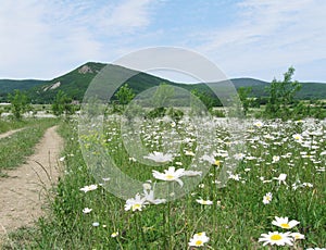 Baydarsky valley in spring, Crimea