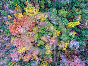 Bayfront Park nature boardwalk from above