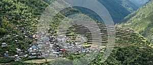 Bayo rice terraces