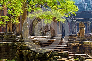 Bayon Temple, Angkor Thom, Siem Reap