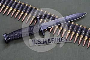 bayonet and ammunition belt on US MARINES uniform background