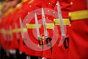 Bayonet detail during military parade