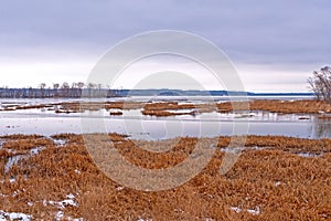 Bayou Along the Mississippi River in Winter