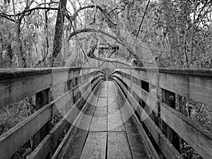 Bayou bridge