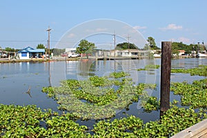 Bayou Lafourche, Louisiana