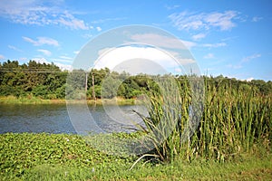 Bayou Lafourche, Louisiana