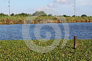 Bayou Lafourche, Louisiana