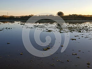 Bayou Lafourche, Louisiana