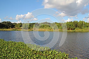 Bayou Lafourche, Louisiana