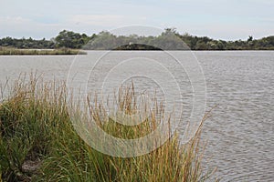 Bayou Lafourche, Louisiana