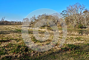 Bayou Teche Waterway in Louisiana